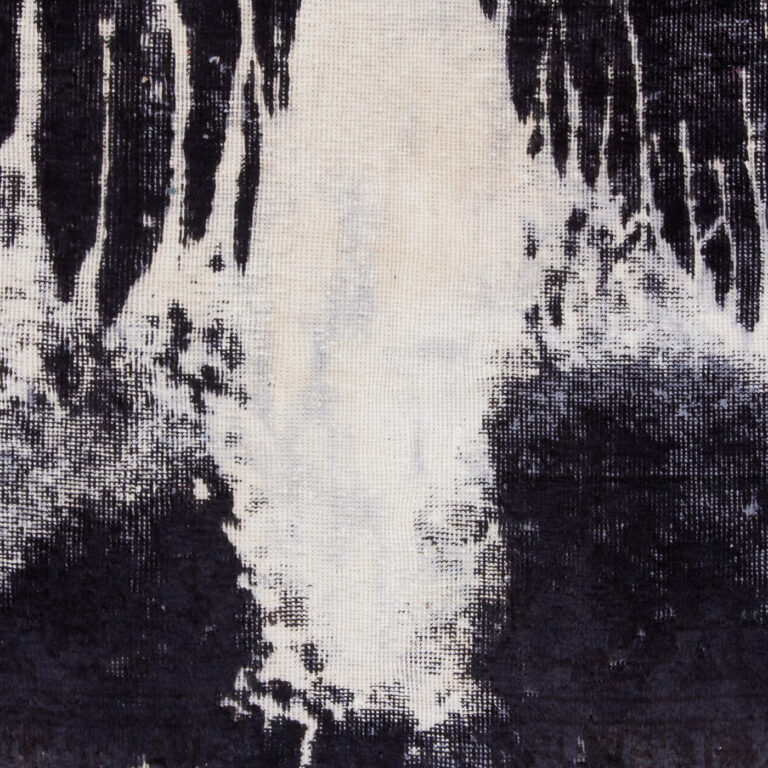 BW2 arian fasihzadeh 2