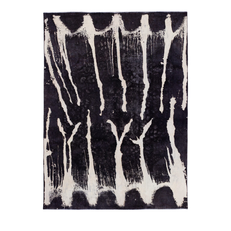 BW2 arian fasihzadeh