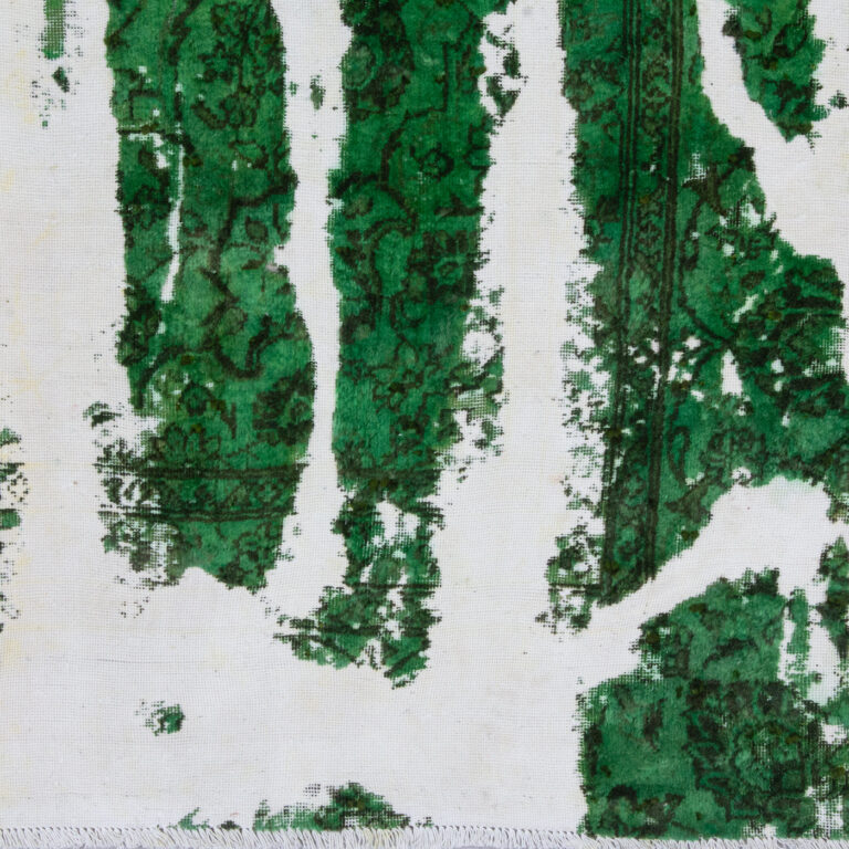 GW2 arian fasihzadeh 2