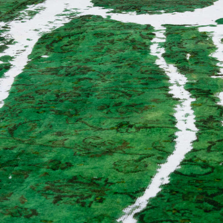 GW2 arian fasihzadeh 3