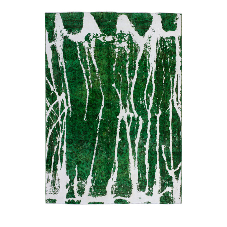 GW2 arian fasihzadeh