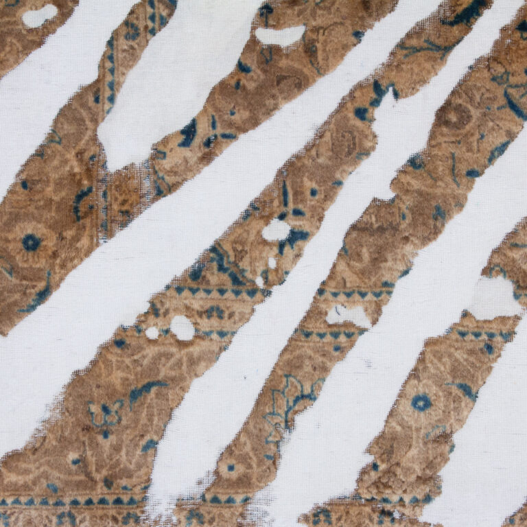 P1 arian fasihzadeh 2