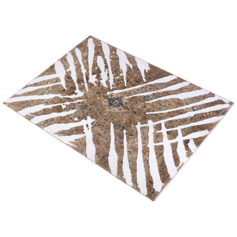 P1 arian fasihzadeh 4