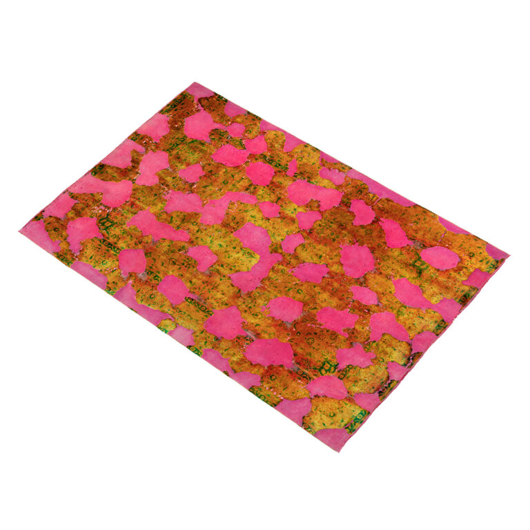 PG2 arian fasihzadeh 5