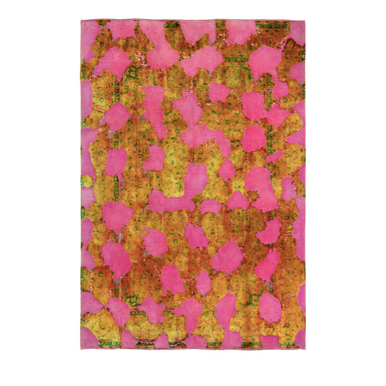 PG2 arian fasihzadeh