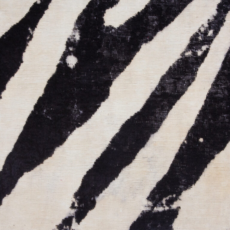 bw arian fasihzadeh 2