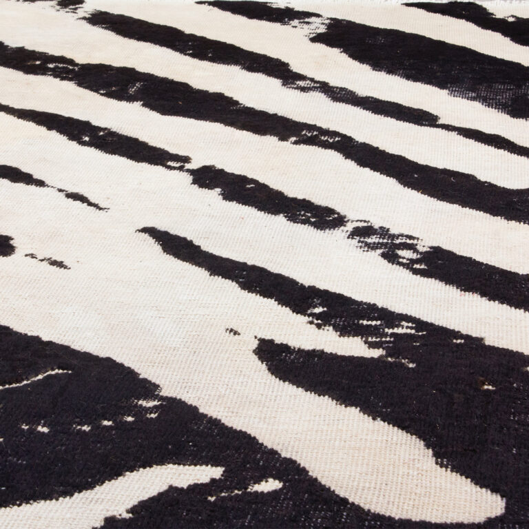 bw arian fasihzadeh 3