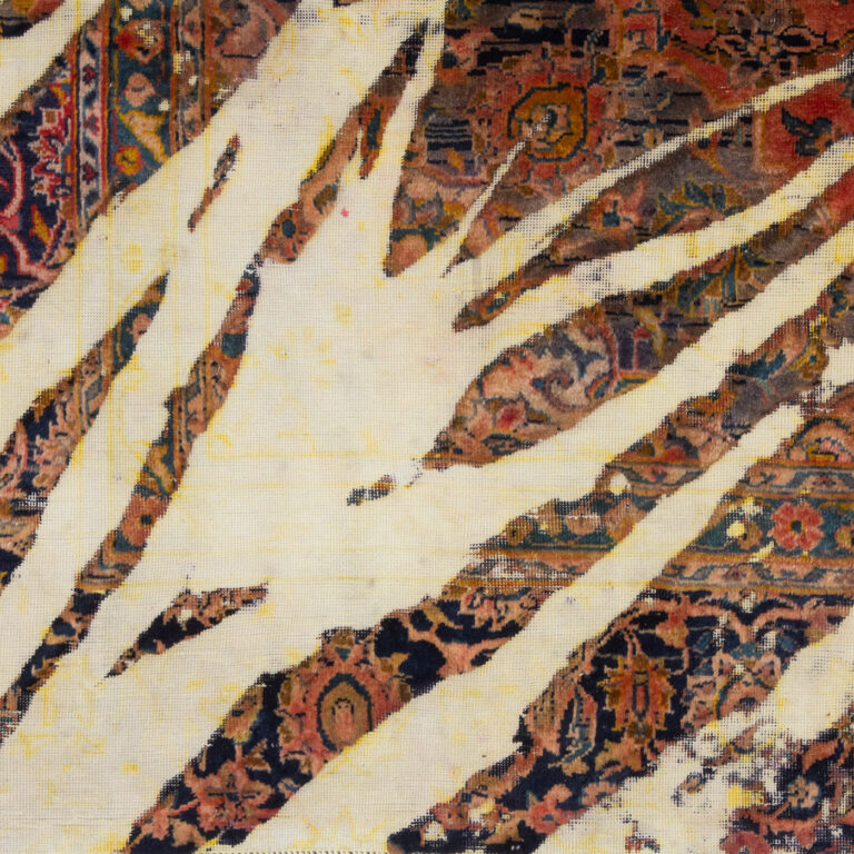 h5 arian fasihzadeh 2