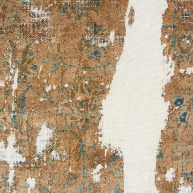 p3 arian fasihzadeh 2