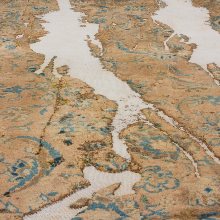 p3 arian fasihzadeh 3